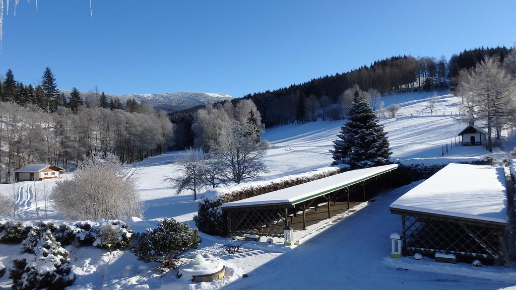 Landhotel Gruenwies -Bonsai-Wellness Garni (Adults Only) Lohberg Exterior photo